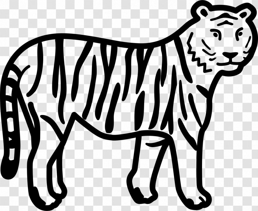 White Tiger Drawing Bengal Clip Art - Stencil - Animals Illustration Transparent PNG