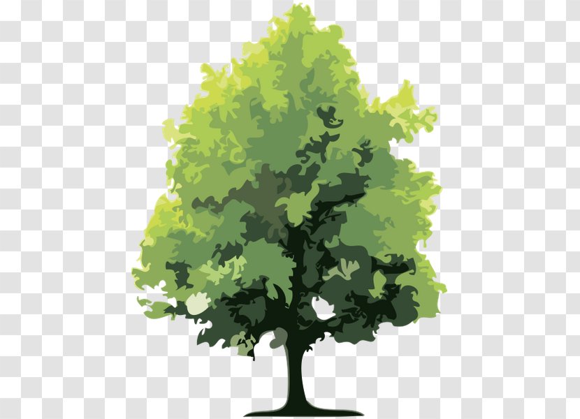Forest Tree Holtzinger Sarl Transparent PNG