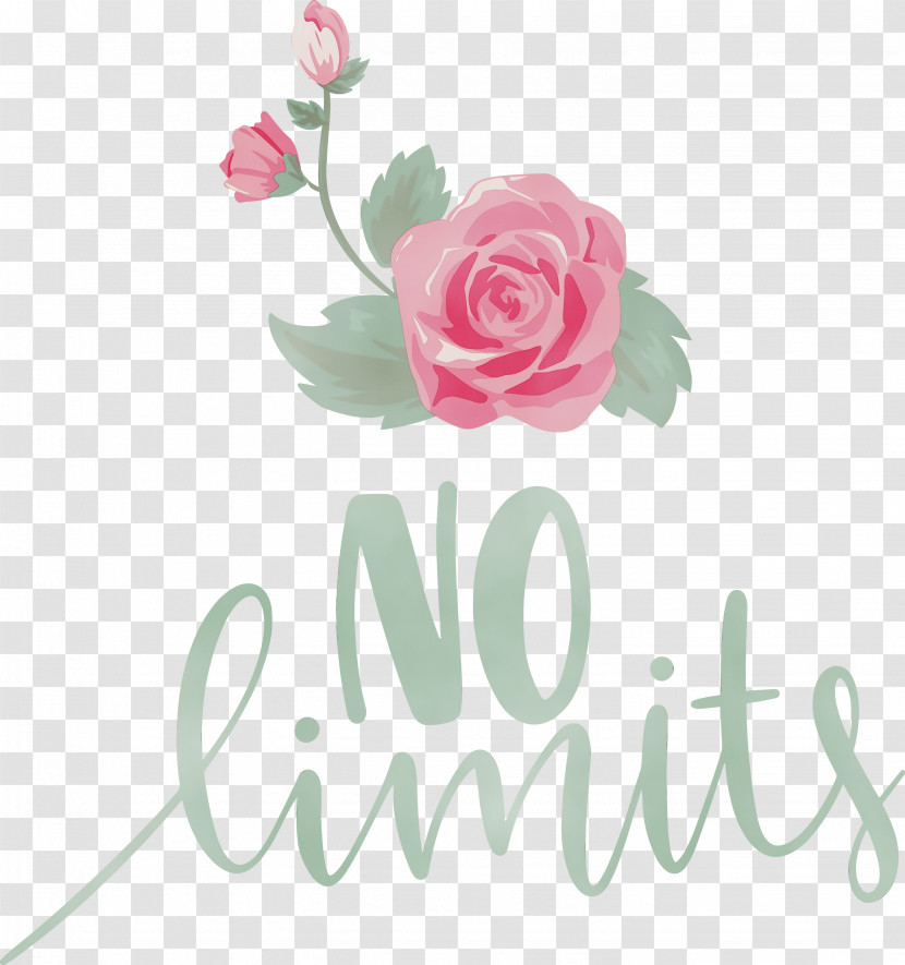 Floral Design Transparent PNG