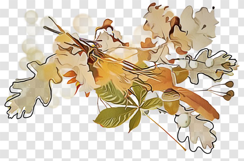 Plane - Black Maple - Twig Transparent PNG