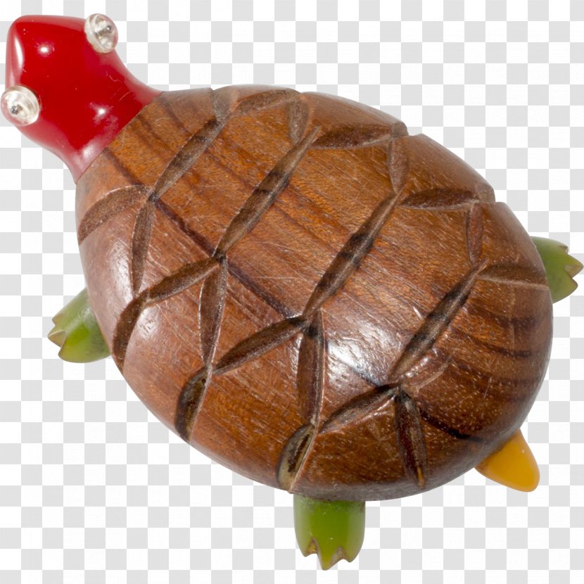 Box Turtles Tortoise - Turtle - Yellowheaded Transparent PNG