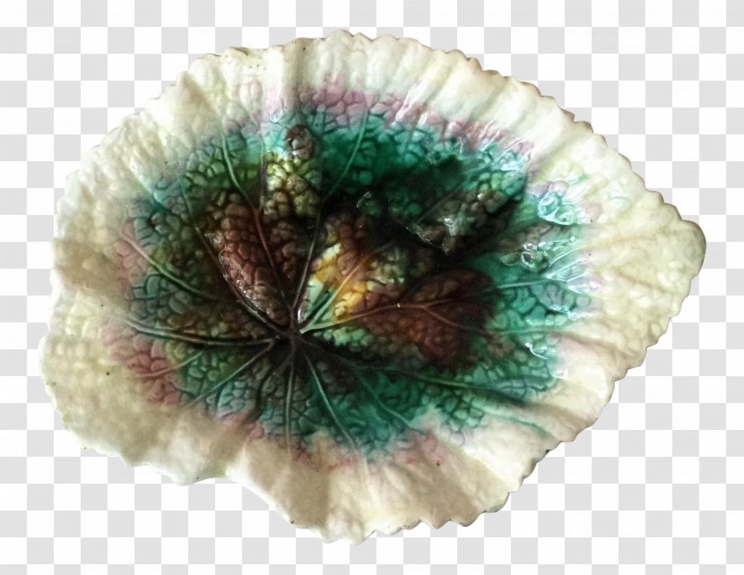 Mineral Turquoise - Feather - Pompom Hand Fan Transparent PNG