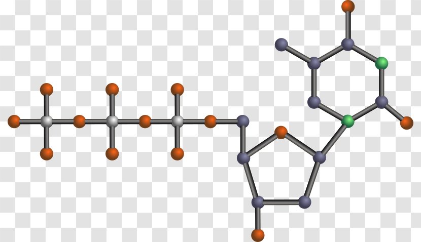 Nucleotide Clip Art Adenosine Triphosphate DNA Vector Graphics - Body Jewelry Transparent PNG