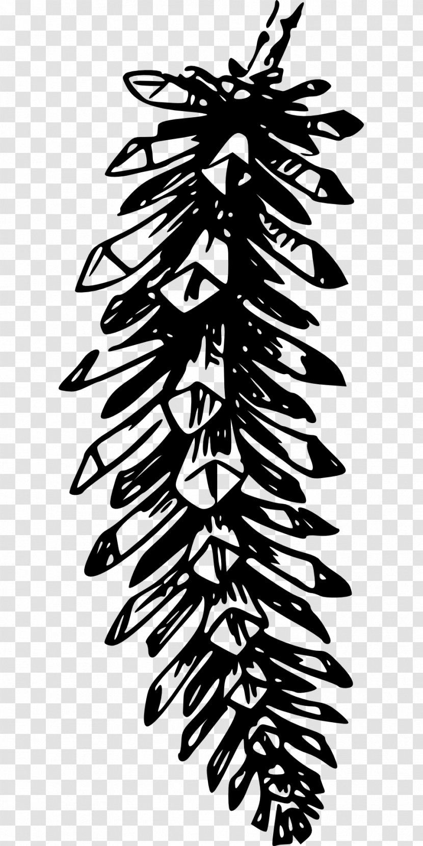 Conifer Cone Pine Clip Art - Leaves Transparent PNG