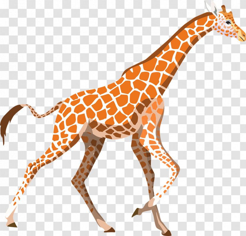 Desktop Wallpaper Northern Giraffe Clip Art - Zoo - African Textiles Transparent PNG