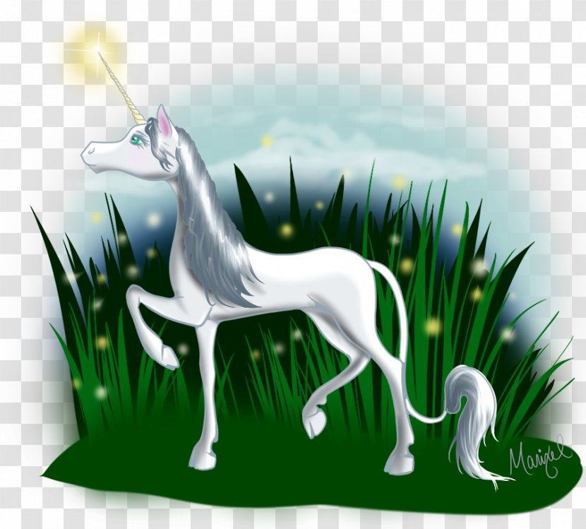 Unicorn Wildlife - Fictional Character Transparent PNG