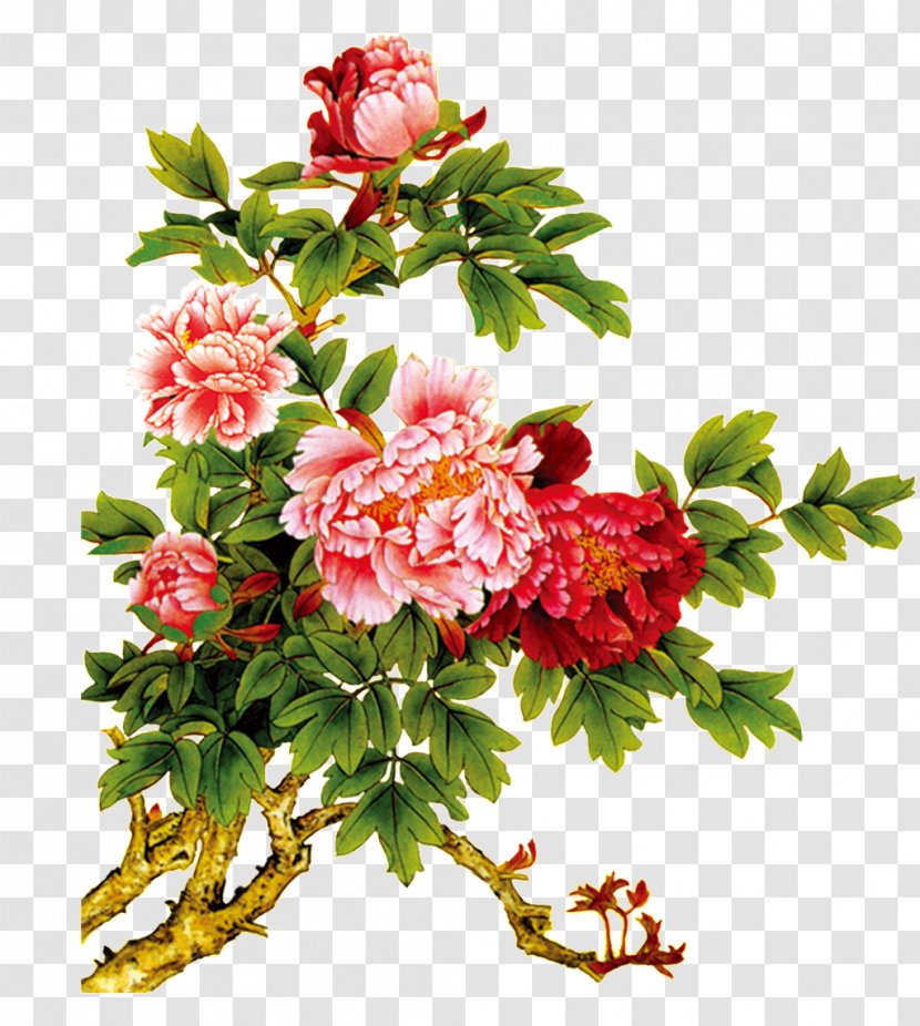 Peony Image Design Painting - Of Bouquets Transparent PNG