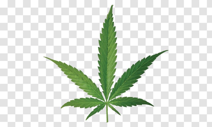 Cannabis Smoking Joint Leaf Bud - Tetrahydrocannabinol Transparent PNG