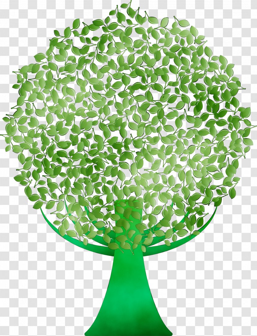 Tree Green Leaf - Plant - Annual Transparent PNG