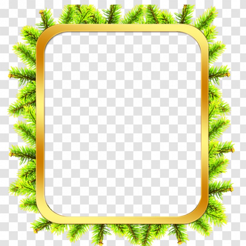 Picture Frames Tree Bark Clip Art - Document Transparent PNG