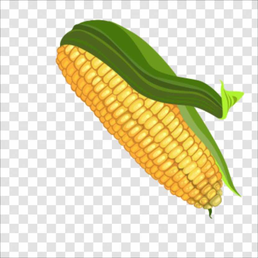Corn On The Cob Maize Color Palette - Eye Shadow Transparent PNG