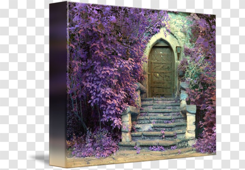 Window Door House Blue Purple - Flora Transparent PNG