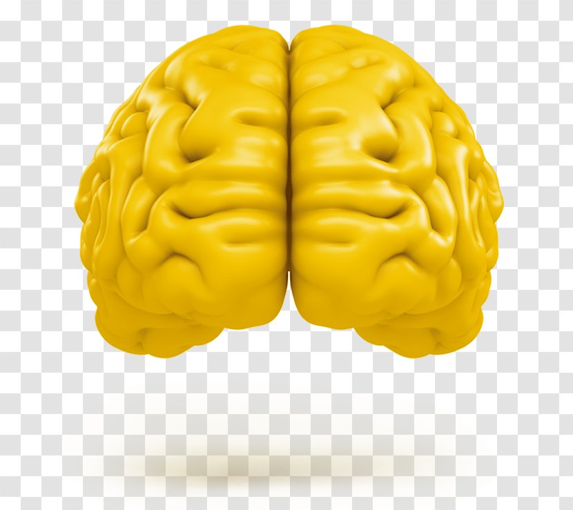 Human Brain Tremella Mesenterica Neuroimaging Agy - Yellow Sunscreen Transparent PNG