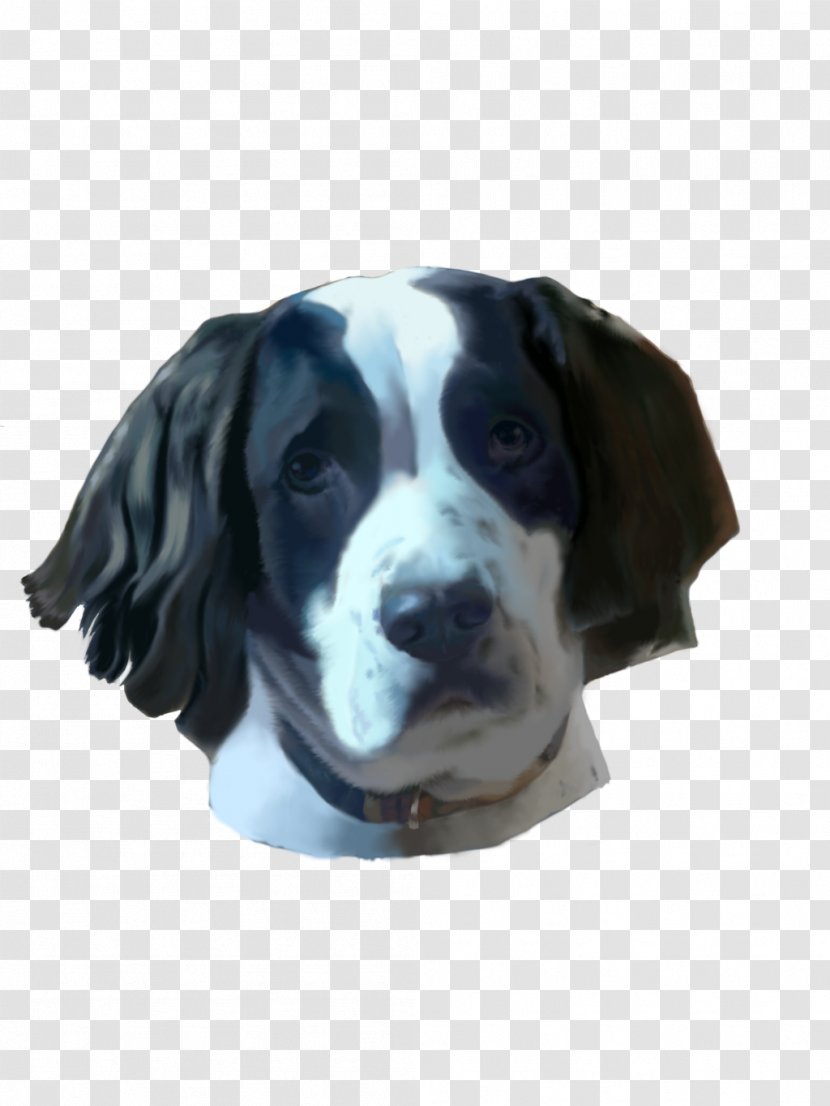Dog Breed Sporting Group Spaniel Snout Transparent PNG