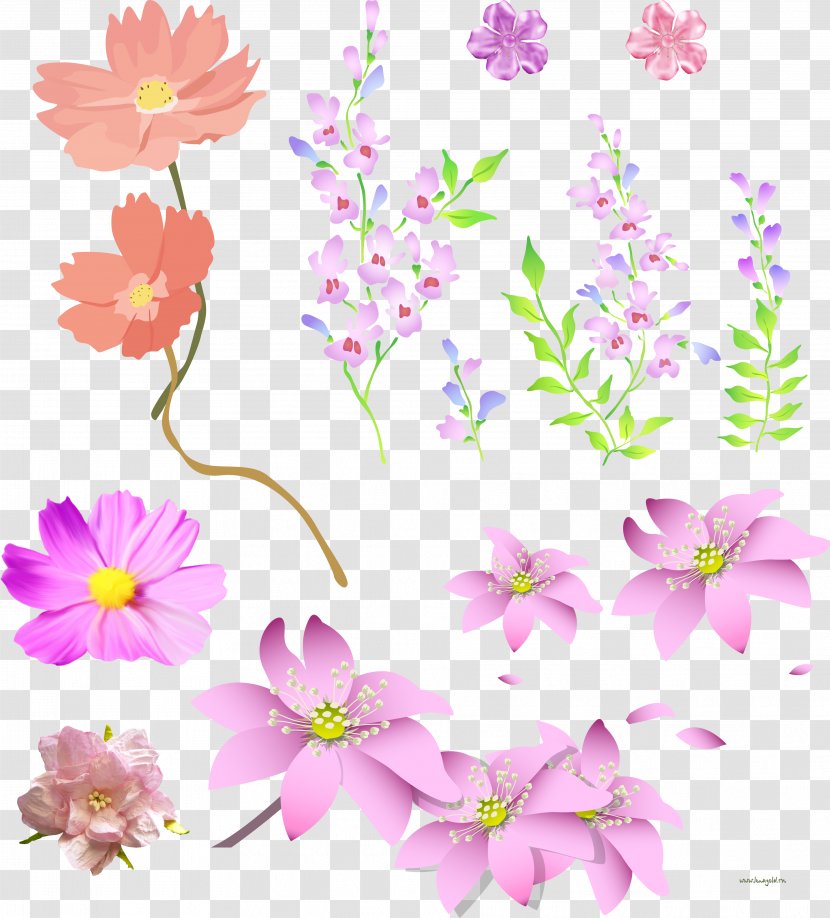 Butterfly Pink - Plant Stem - Floral Transparent PNG