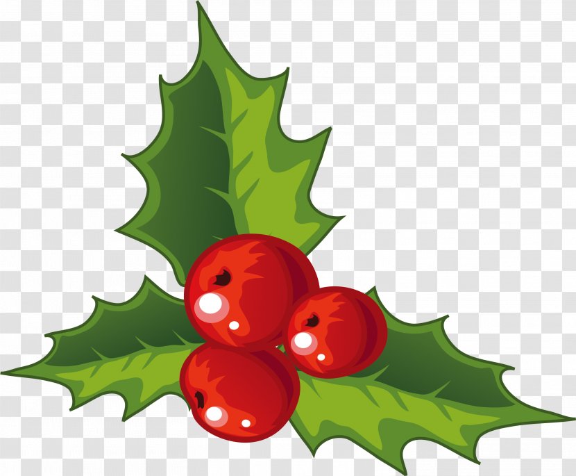 Holly Christmas Decoration - Flower - Decorations For Transparent PNG