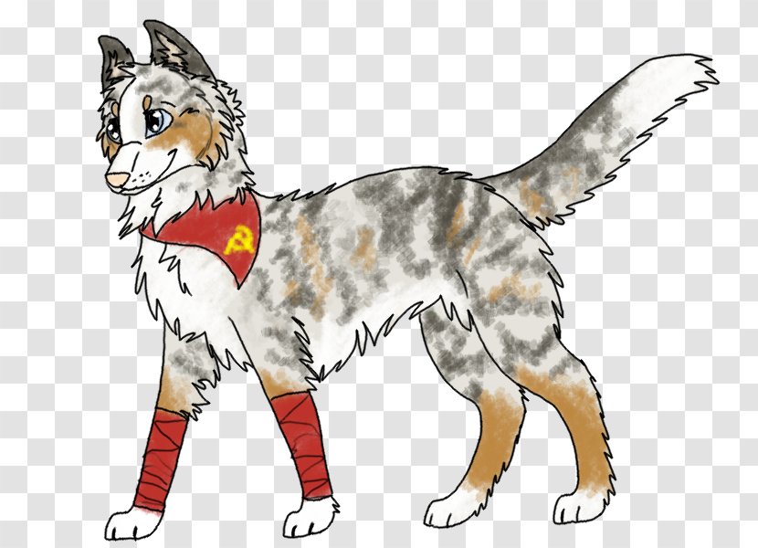 Whiskers Dog Breed Cat - Mammal Transparent PNG