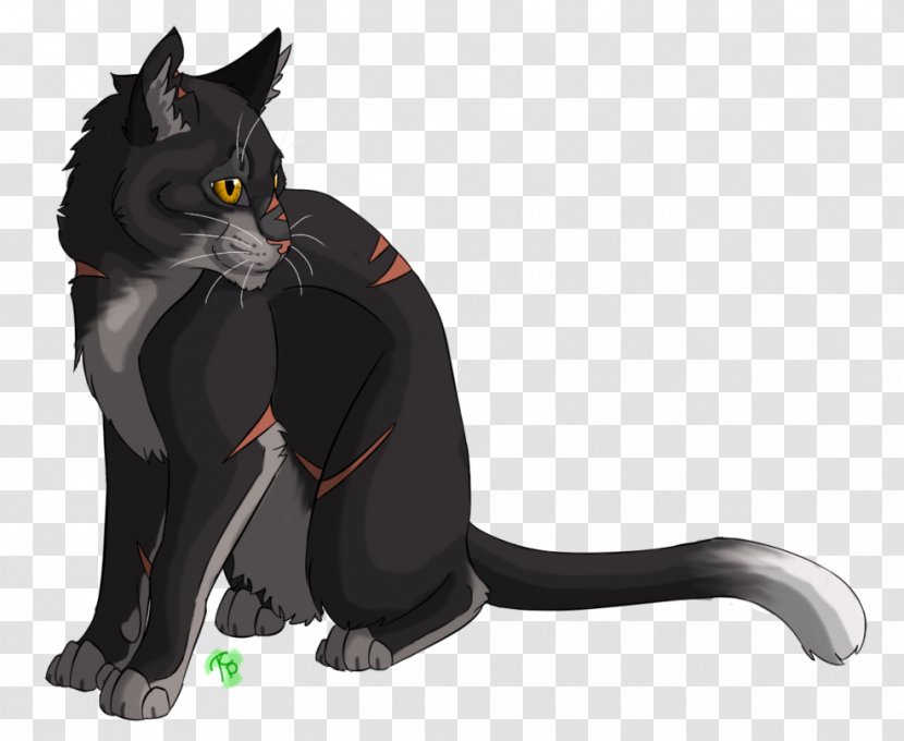 Black Cat Turkish Van Whiskers Tail My Favorite Part - Deviantart Transparent PNG