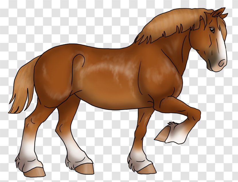 Stallion Mustang Foal Mare Pony - Livestock Transparent PNG