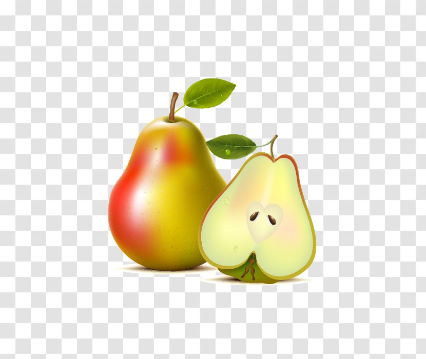 Asian Pear Pyrus Xd7 Bretschneideri Fruit Tree - Diet Food Transparent PNG