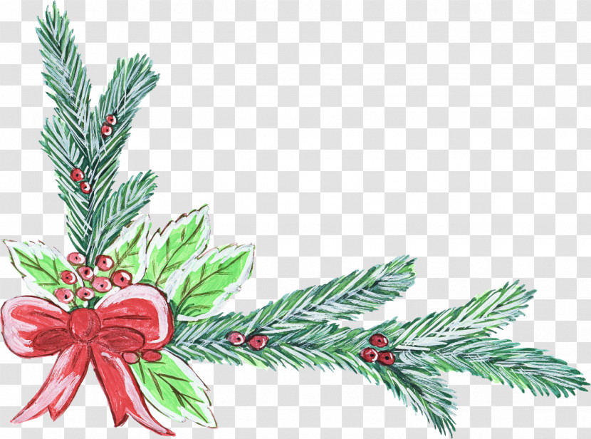 Holly Transparent PNG