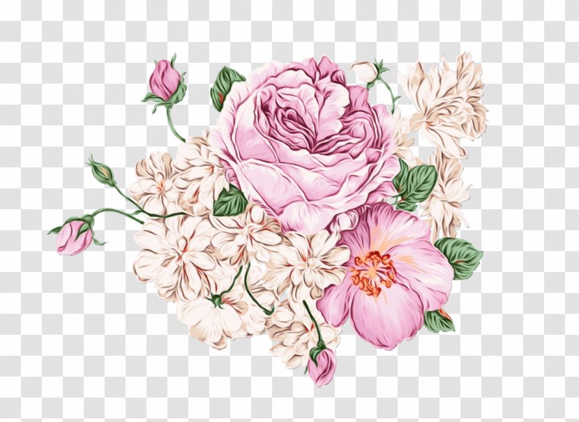 Garden Roses - Wet Ink - Flowering Plant Rose Family Transparent PNG