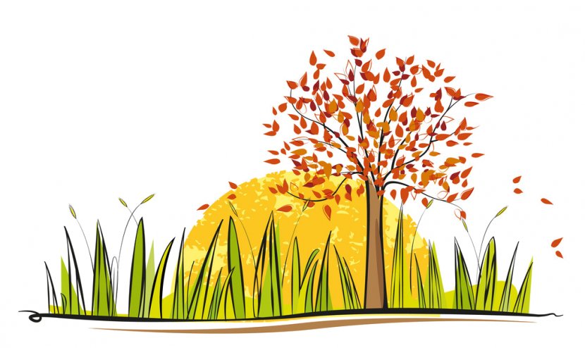 Autumn Tree Silhouette - Lawn Plant Stem Transparent PNG
