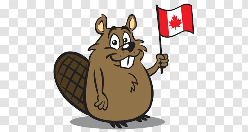 Canada North American Beaver Clip Art - Squirrel - Flag Beavers Transparent PNG