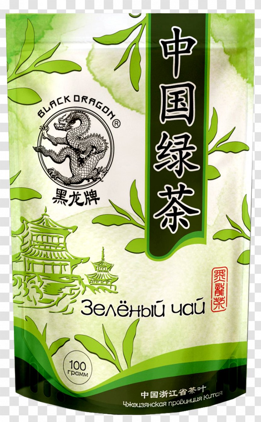 Green Tea Oolong Tieguanyin Plant Transparent PNG