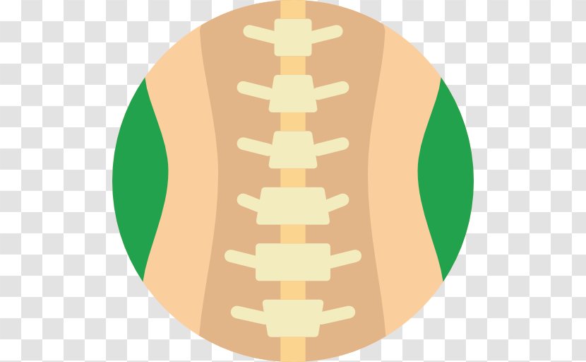 Vertebral Column Lumbar Vertebrae Spinal Cord Human Body - Orthopedic Surgery - Columna Transparent PNG