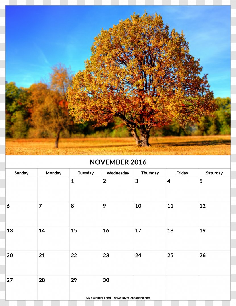 Calendar Autumn 0 Time September Equinox - Tree - November Transparent PNG