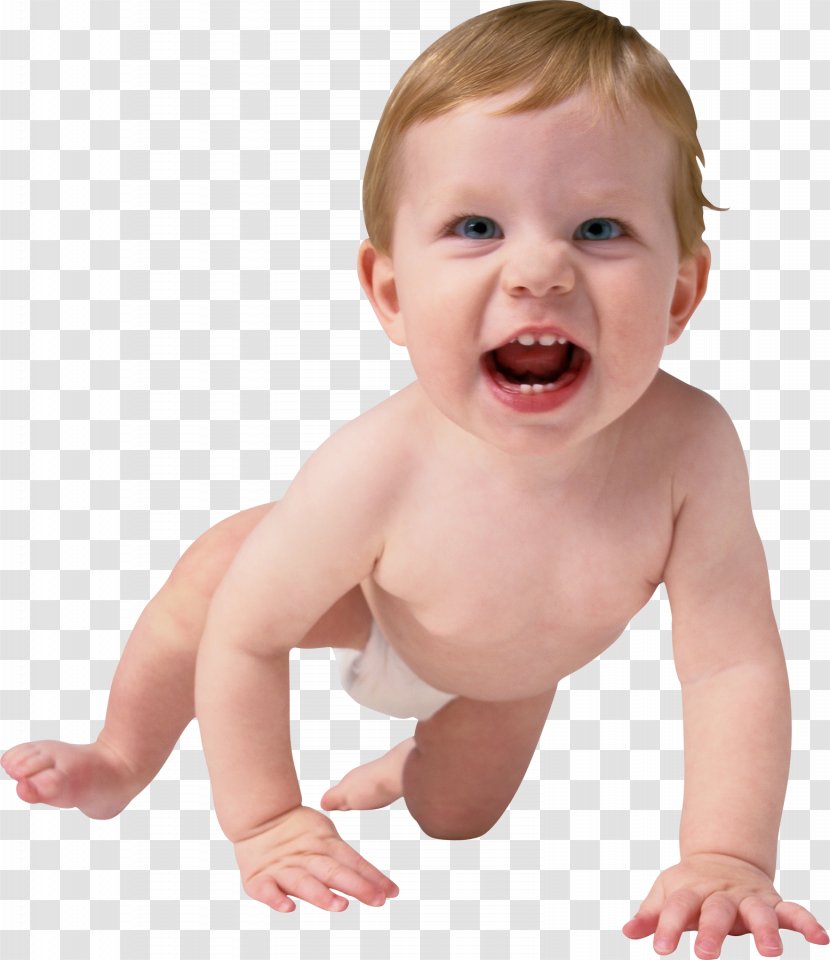 Diaper Infant Toddler Child Crawling - Asilo Nido - Baby Transparent PNG