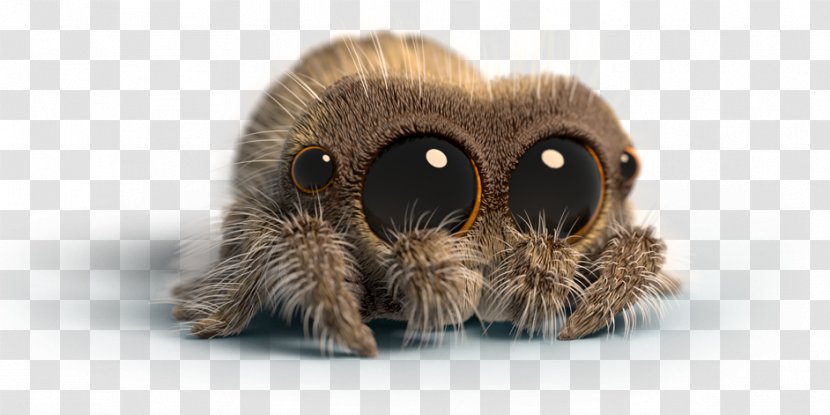 Lucas The Spider Video YouTube Animation - Pollinator - VidCon Community Badges Transparent PNG