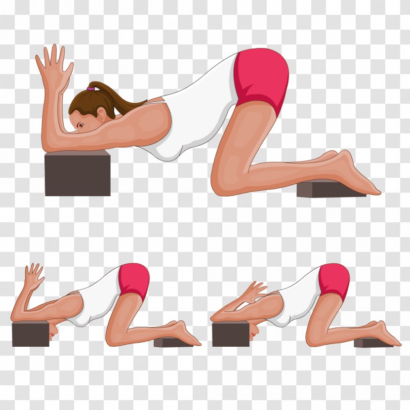 Puppy Uttana Shishosana Parsvottanasana Baddha Koṇāsana Stretching - Heart Transparent PNG