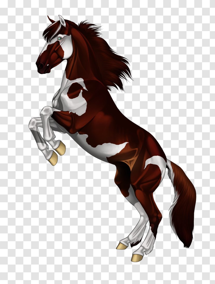 Mane Foal Stallion Pony Mustang - Horse Transparent PNG
