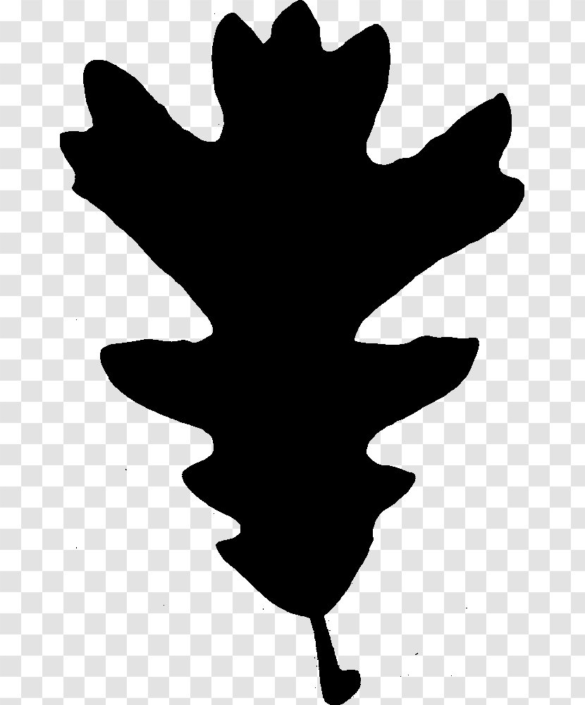 Tree Stencil - Silhouette Transparent PNG