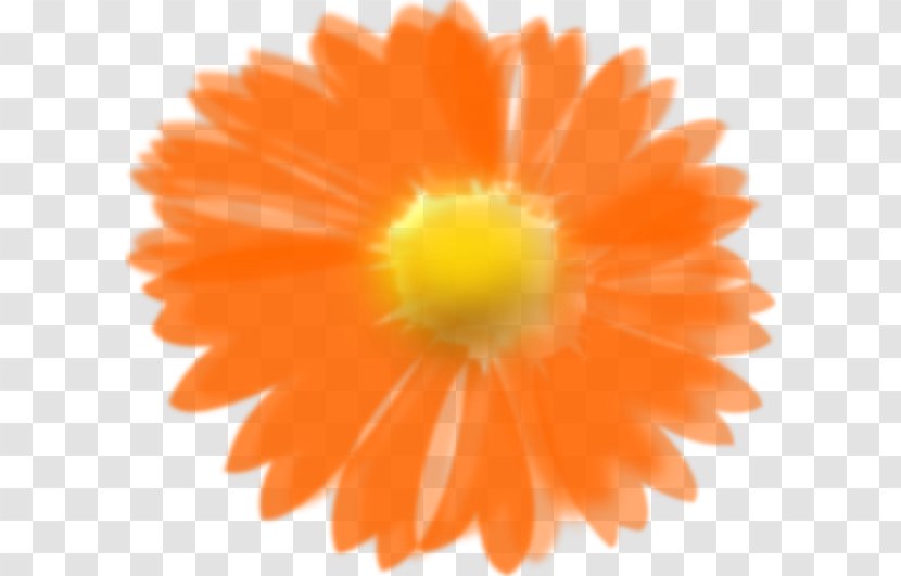 Flower Orange Clip Art - Calendula - Hawaii Transparent PNG