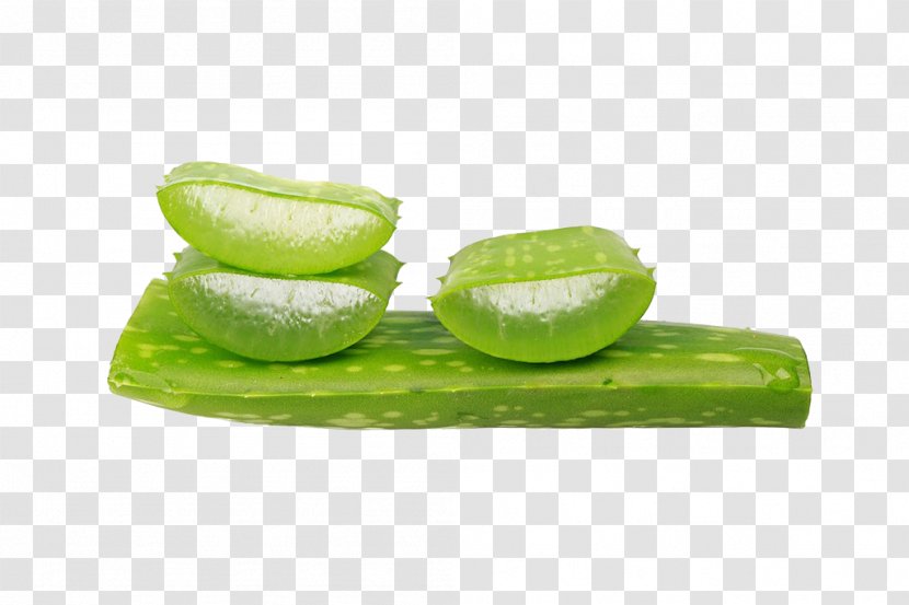 Aloe Vera Stock Photography Gel - Slices Transparent PNG