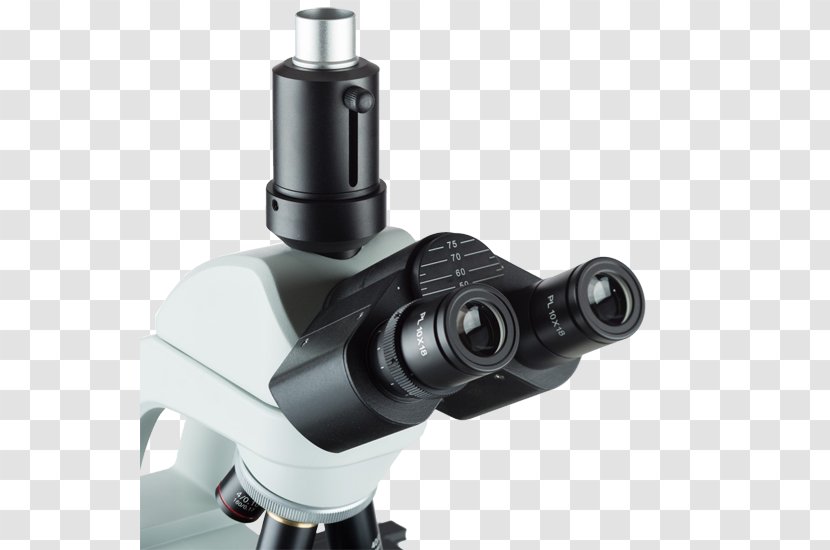 Stereo Microscope Optical Biology Transparent PNG
