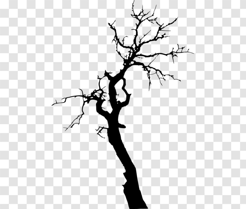 Twig Silhouette Tree Branch Drawing Transparent PNG