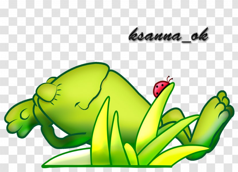 Tree Frog Clip Art - Ranidae - Cartoon Transparent PNG