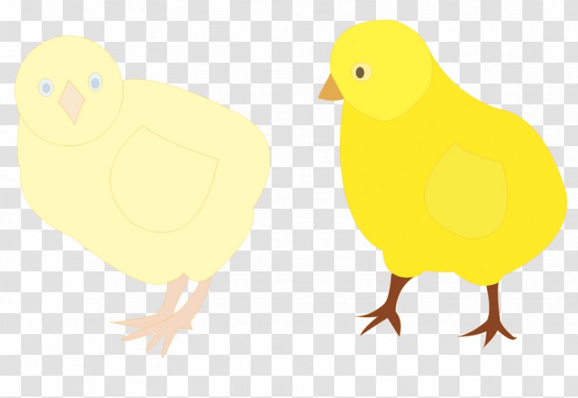 Chicken Duck Clip Art - Poultry - Human Figure Clipart Transparent PNG