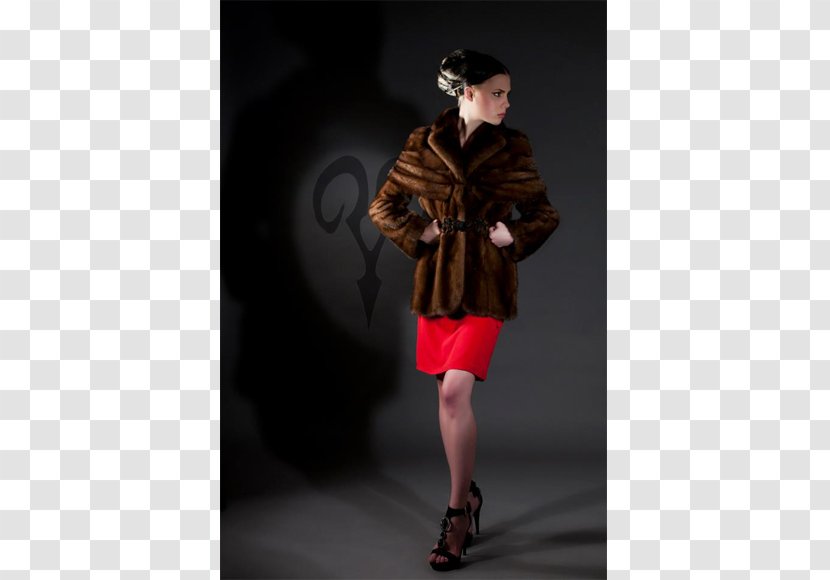 Fur Clothing Jacket Mink Giubbotto - Fashion Transparent PNG