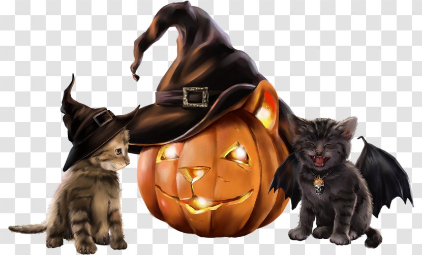 Whiskers Kitten Black Cat Bombay Halloween - Animal Transparent PNG