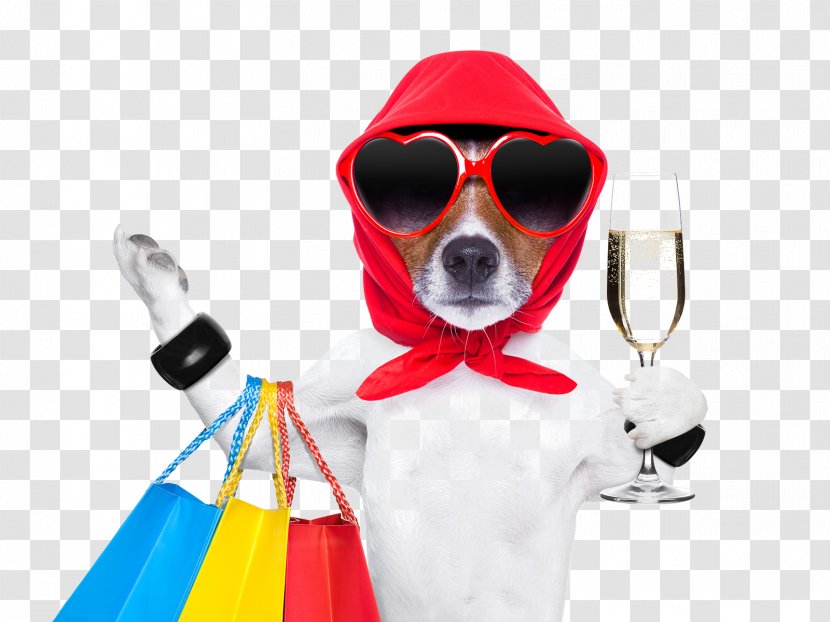 Dog Shopping Cart Stock Photography Pet Shop - Istock Transparent PNG