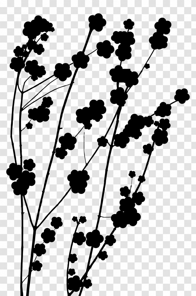 Twig Plant Stem Flower Leaf Pattern - Branch - Pedicel Transparent PNG