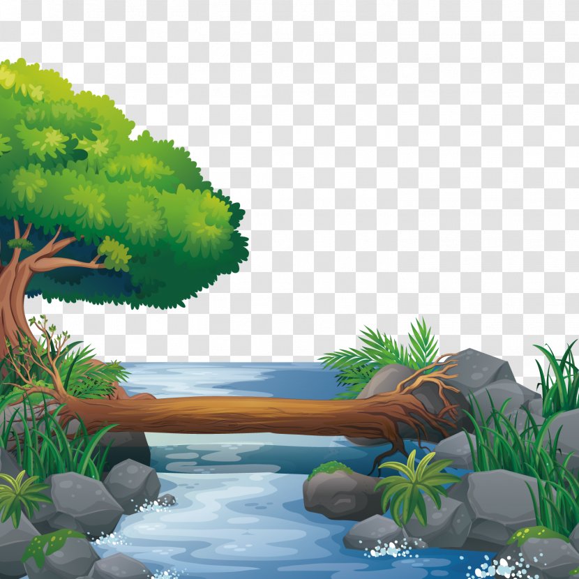 Nature Illustration - Vegetation - Vector River Water Transparent PNG