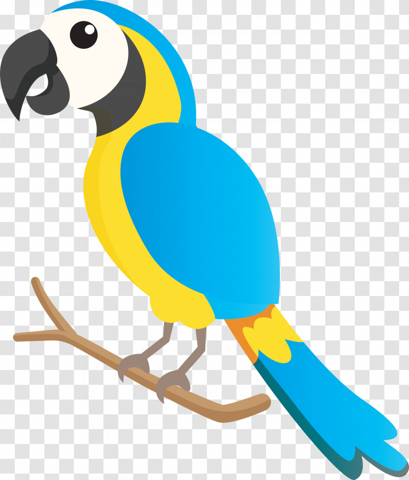 Macaw Parakeet Beak Animal Figurine Biology Transparent PNG