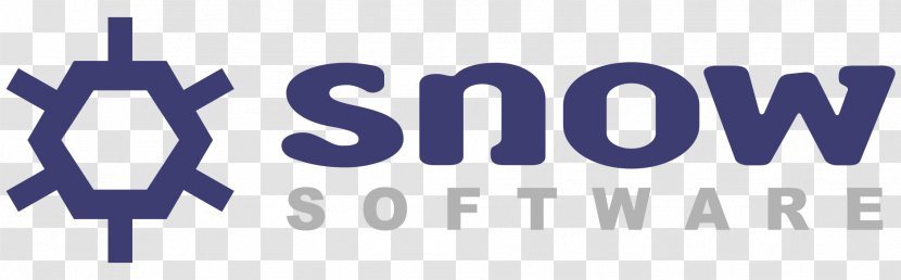 Software Asset Management Computer License Manager Snow AB IT - Sap Se Transparent PNG
