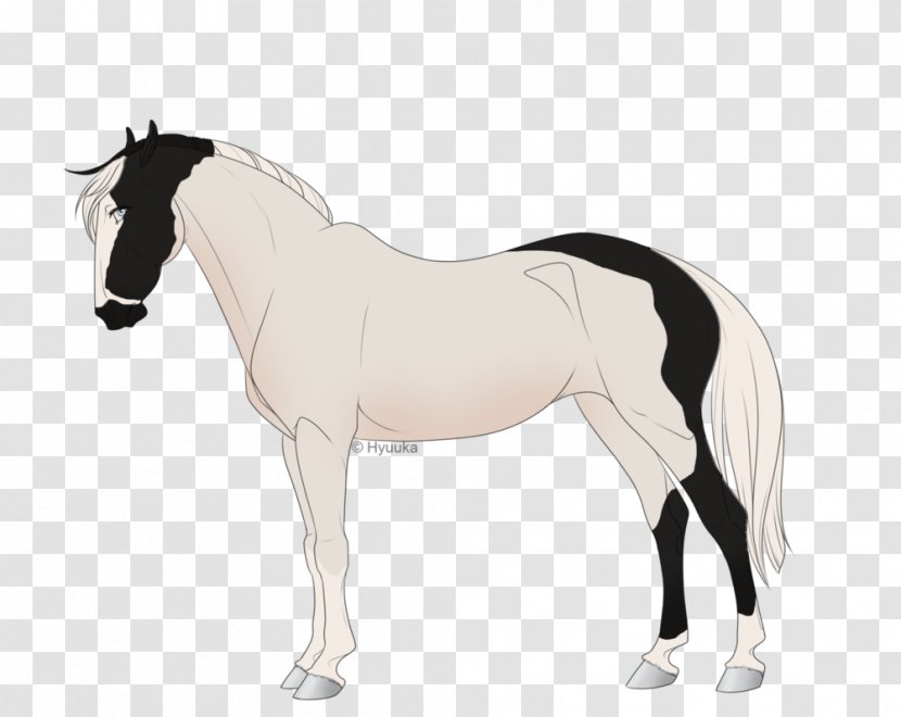 Foal Mane Stallion Mare Mustang - Equestrian Transparent PNG